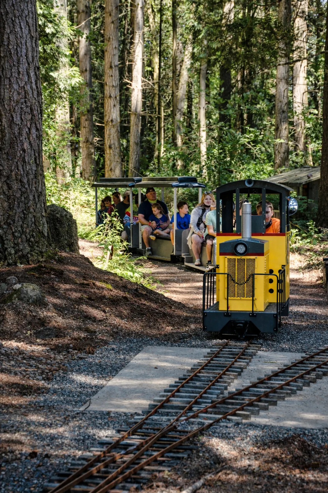Miniature train coming through the forest with riders